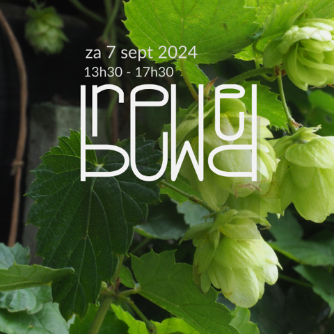 BREWmasterclass DryHopping 7 sept 2024